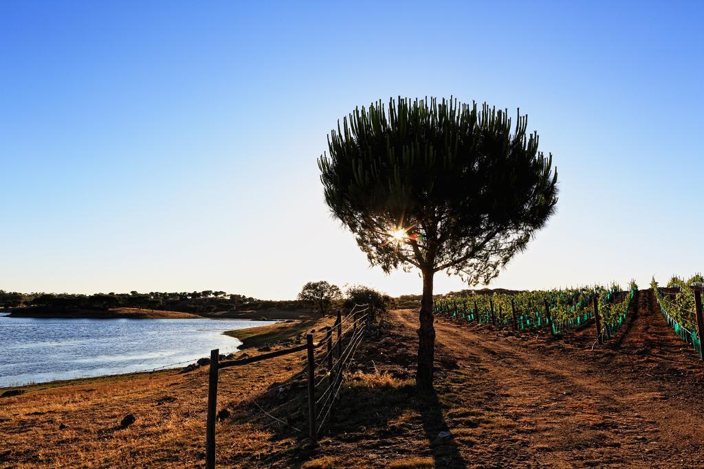 Herdade Da Calada Azaruja Esterno foto