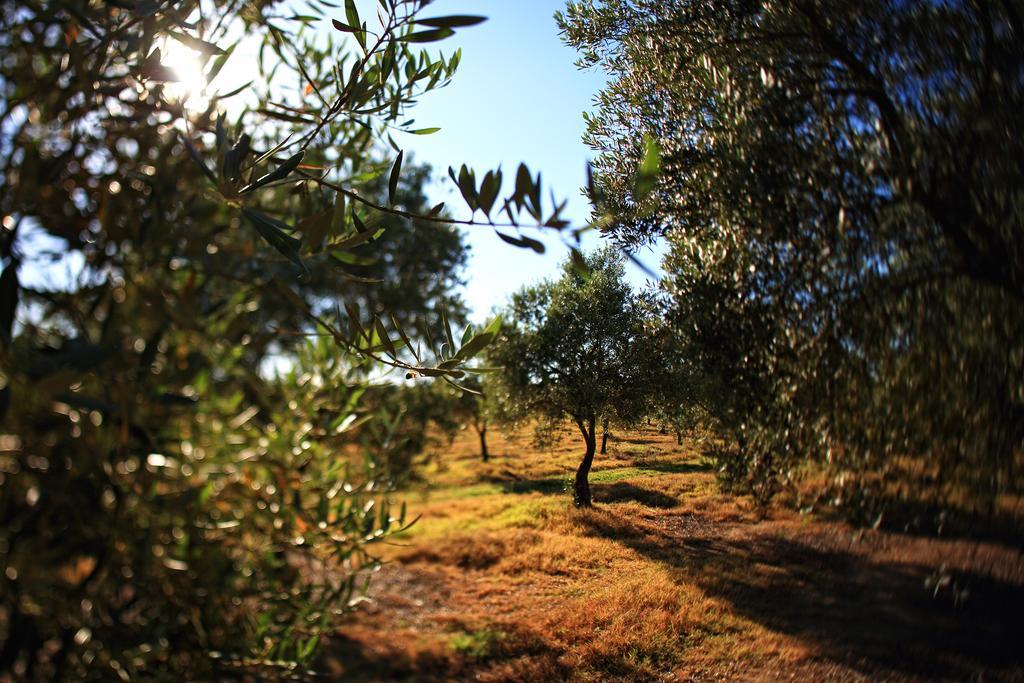 Herdade Da Calada Azaruja Esterno foto