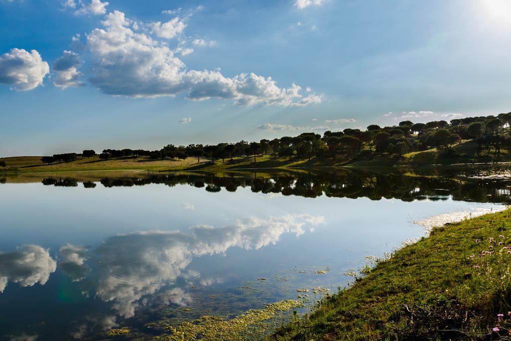 Herdade Da Calada Azaruja Esterno foto